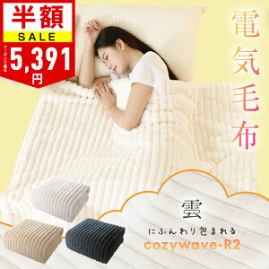 ＼クーポンで最安5,391円～／【楽天1位】ふわとろ毛布 電気毛布 掛け敷き ブランケット ふわふわ 毛布 ポコポコ 洗