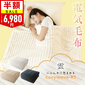 ＼15倍P＆クーポンで最安5,964円～／【楽天1位】ふわとろ毛布 電気毛布 掛け敷き ブランケット ふわふわ 毛布 ポコポコ 洗える モコモコブランケット 電気ひざ掛け 肩掛け 膝掛け 敷き 電気ブランケット 毛布収納 シングル ダブル 厚手 防寒対策