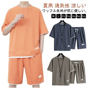  ʋC ㉺Zbg Y bt  傫TCY ėp V[gpc ZbgAbv  XL  JWA  g[jO X|[c t M L JWA 2XL 3XL 4XL