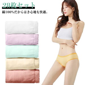 28Zbg!100 ĝăV[c pc COspi h ĝĉ ^ 傫TCY  sp fB[X  EOKXŋۍ qI Rbg pi펞 Օi 