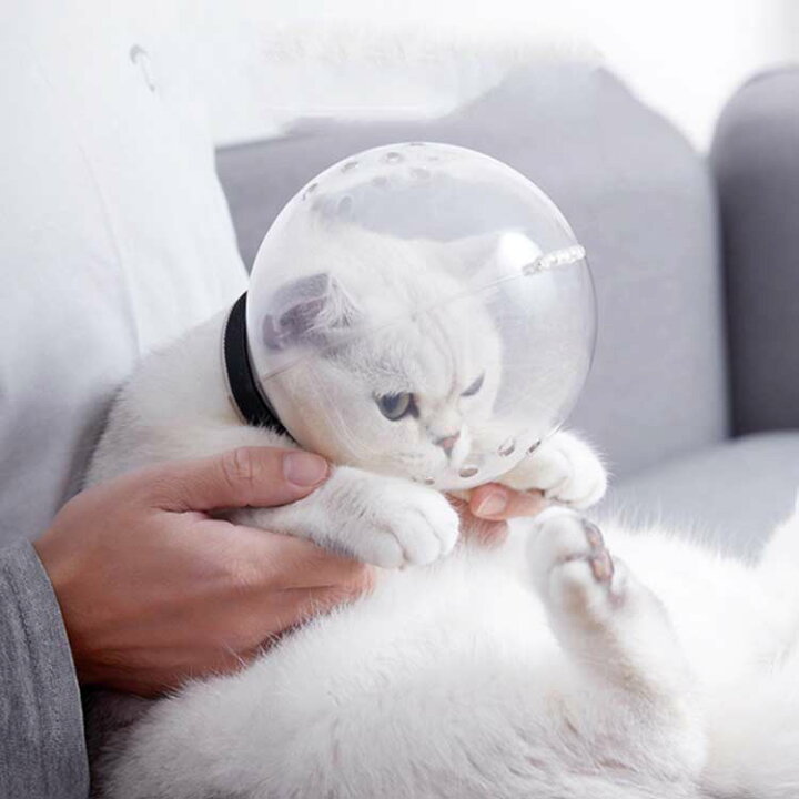 楽天市場】 猫用マズル 拾い食い防止 猫 透明 拾い食い防止 美容 爪 