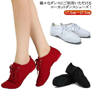 WYV[Y fB[X _Xpi [Jbg  j 18.5cm[27.5cm LoX x[_XV[Y Ќ_X WY_X WY_XV[Y XG[h XG[h\[ 18.5c