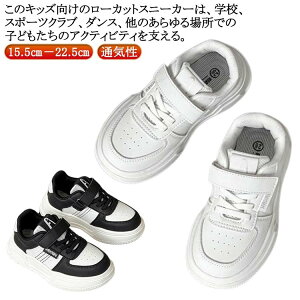 q LbY WjA Xj[J[  _XV[Y hL }WbNe[v JWAV[Y _XXj[J[ ʋC  qC Xj[J[ i tďH~ [Jbg qV[Y 