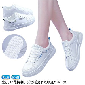 JWAV[Y fB[X [Jbg Xj[J[ ꂢ ^C Xj[J[  H[LOV[Y ʊw  y h ꃍ[Jbg  ItBX JWA Ԏh? z