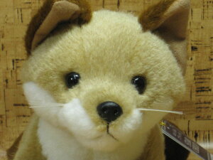 Lcl̂ʂ݃X^[`ChL^Lclyʂ/v[g/{zy^OX֕sz