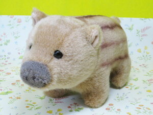 CmVV̂ʂ݃X^[`ChEVyʂ/v[g/{zy^OX֕Ήiz