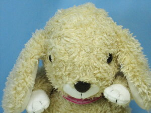 ̂ʂ݃X^[`ChbvC[ETM@RMy{z