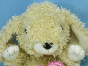 ̂ʂ݃X^[`ChbvC[ETM@R@Syʂ/v[g/{zy^OX֕Ήiz