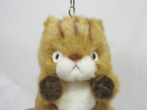 リス ぬいぐるみの人気商品 通販 価格比較 価格 Com リス ぬいぐるみの人気商品 通販 価格比較 価格 Com