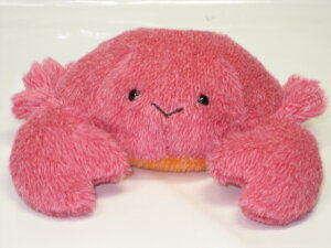 Jĵʂ݂ۂ܂@JjSy̓zyv[gzy^OX֕Ήiz