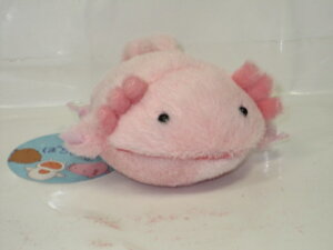 E[o[[o[̂ʂ݂ۂ܂@E[o[[o[Sy̓zyv[gzy^OX֕Ήiz