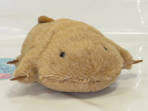 TVEEÎʂ݂ۂ܂@TVEEISy̓zyv[gzy^OX֕Ήiz