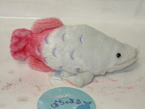 sN̂ʂ݂ۂ܂@sNSy̓zyv[gzy^OX֕Ήiz