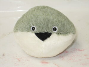 TJooXsX̂ʂ݂ۂ܂@TJooXsXS@O[y̓zyv[gzy^OX֕Ήiz