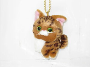 ˂̂ʂ݂ɂ񂱂@}XRbgy̓zyv[gzy^OX֕Ήiz