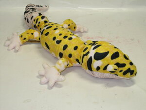 gJQ̂ʂTAKEOFFANIMANIA@qEgJQhLsyʂ/v[gz