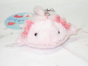 E[p[[p[̂ʂ݂ۂ܂@L[`F[@E[p[[p[y̓zyv[gzy^OX֕Ήiz