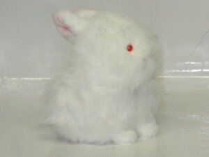 ̂ʂݓfUC킽ہ@䂫y̓zyv[gzy^OX֕Ήiz