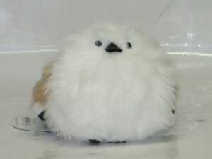 V}iKĜʂݓfUC킽ہ@V}iKGy̓zyv[gzy^OX֕Ήiz