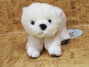 N}̂ʂTAKEOFF STEPSNOW kɌFS