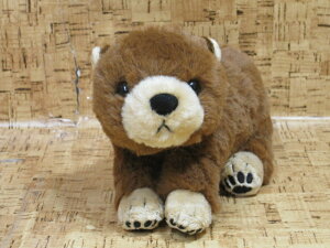 N}̂ʂTAKEOFF STEPSNOW S