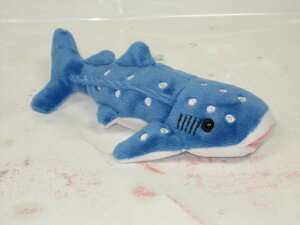 T̂ʂ݃IW@v`T@߃V[N@WxCUyv[gzyʂ݁z