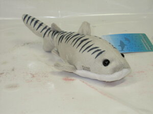 T̂ʂ݃IW@v`T@߃V[N@^CK[V[Nyv[gzyʂ݁z