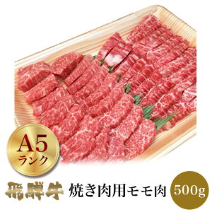 ˋ Ăp  500g ŷ܂z   Y Y ēZbg ĂMtg Hה W[ o[xL[ BBQ SĂ X  ē   a Ⓚ O 