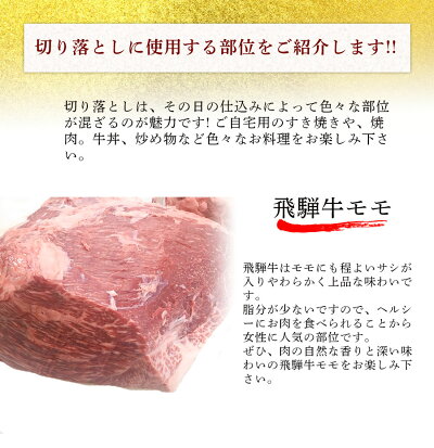 肉のくまざき飛騨牛切り落とし1.2kgメガ盛り