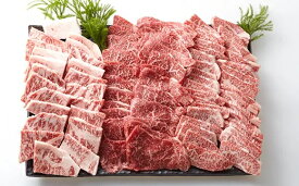 肉のくまざき 飛騨牛 焼肉セット 三種盛り 1.5kg 牛ロース肉 バラ肉 モモ肉 バーベキュー 国産牛 岐阜県 冷凍