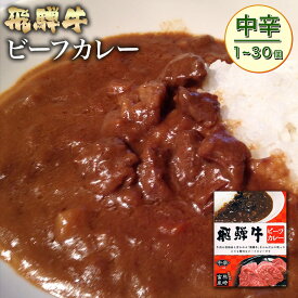 飛騨牛 ビーフカレー 【肉のくまざき】 送料無料 岐阜 飛騨 ひだ 名産 専門店 販売店 通販 プロ 和牛 高級ブランド牛 簡単 ギフト かれー グルメ レトルト れとると 即日出荷 惣菜 贅沢