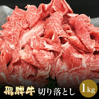 肉のくまざき飛騨牛切り落とし1.0kgメガ盛り