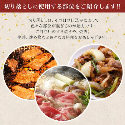 肉のくまざき飛騨牛切り落とし1kgメガ盛り