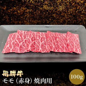 yグ3,980~ȏőzˋiԐgjēp