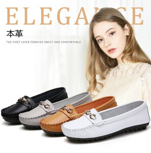 {v [t@[ Xb| fB[X hCrOV[Y Sn [t@[hCrOV[Y ɂȂ l pvX o^C 2023 v[g