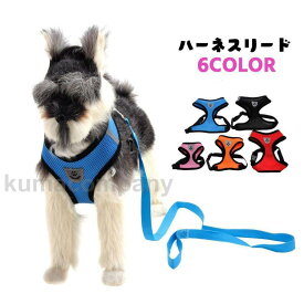 ハーネスリード 2点セット イヌ 小型犬 中型犬 ペット用品 ペットグッズ プラバックル メッシュ ロゴ ピンク ブルー ブラック シンプル かわいい