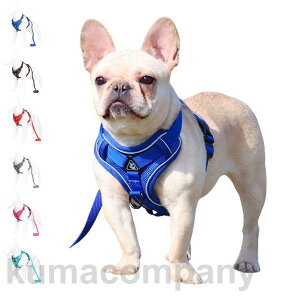 n[lX [h p ^ xXg ybg ʋC [h n[lXZbg hbO U xXg^ {  EȒP Ռz Oo  S