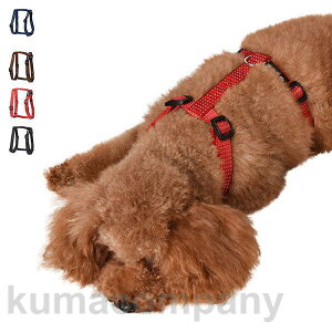  n[lX p xXg ^ ybg ʋC hbO U xXg { EȒP Ռz Oo  S