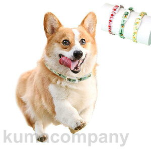  ybg ^ L n[lX iC o TCY߉ pi Lpi CkObY Mtg v[g  AEghA 