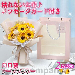 o^C \[vt[ ԑ Mtg u[P Ђ܂  ԑ   {bNX o Cxg ̓ v[g