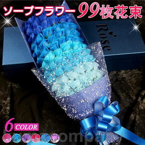 \[vt[ ԑ Mtg u[P ԑ   {bNX o Cxg ̓ v[g