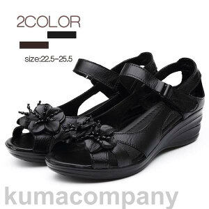 pW[ ItBXT_ i[XT_ fB[X T_₷ X|T Ȃ JWA AEghA  r[`b