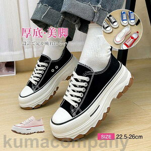 lC Xj[J[ fB[X ^C C V[Y ʋ ʊw  EH[LOV[Y ₷ ɂ tbg JWA