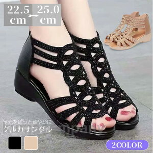 T_ fB[X ₷ 2024 nCq[ u[cT_ y OfBG[^[ T_ q[ L ɂȂ  r EFbW\[ LL