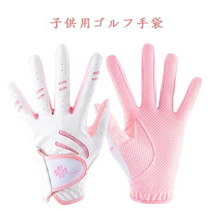 qp StO[u p St Kpi ~ ʋC jp Ep IV