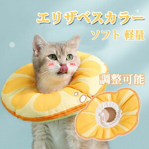 GUxXJ[ pEFA h[ic L ybgp ^p p ݖh~ ی rߖh~ h~ DP  pi یJo[ _炩  \ ʋC \tg 