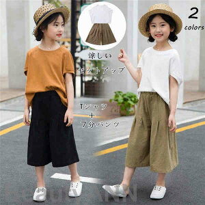 V W[W LbY q ㉺  t q ZbgAbv ㉺Zbg 2_Zbg TVc V[gpc X|[cEFA ^   Vi 140 150 160 v[g Mtg