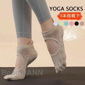 K\bNX ܐ悠 5{w ~ ܖ{w \bNX K EFA W Xgb` fB[X 킢 Vv t[ KEFA C ܖ{w tBbglX 5{w\bNX w 