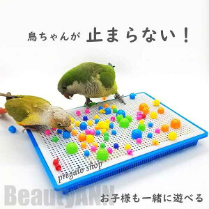 V ̂ CR  o[hgC   XgX pߋ vX`bN IJCR ZLZCCR SV{^CR ERCR ^̃CR p