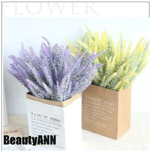 V \[vt[  CeA AW DIY ԑ u[P ֑   5{ JXj 䋟 ItBX a ԕr z  ސEj   ԑ ~ 